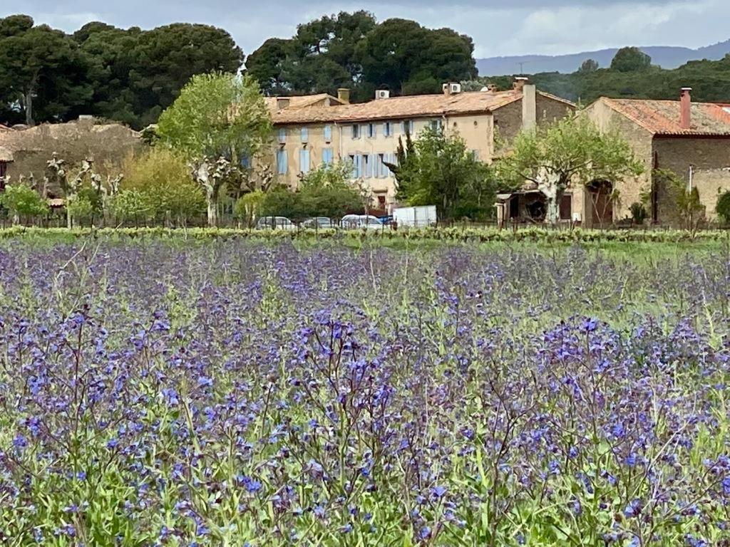 Le Relais D'Affiac Bed & Breakfast Peyriac-Minervois Exterior photo