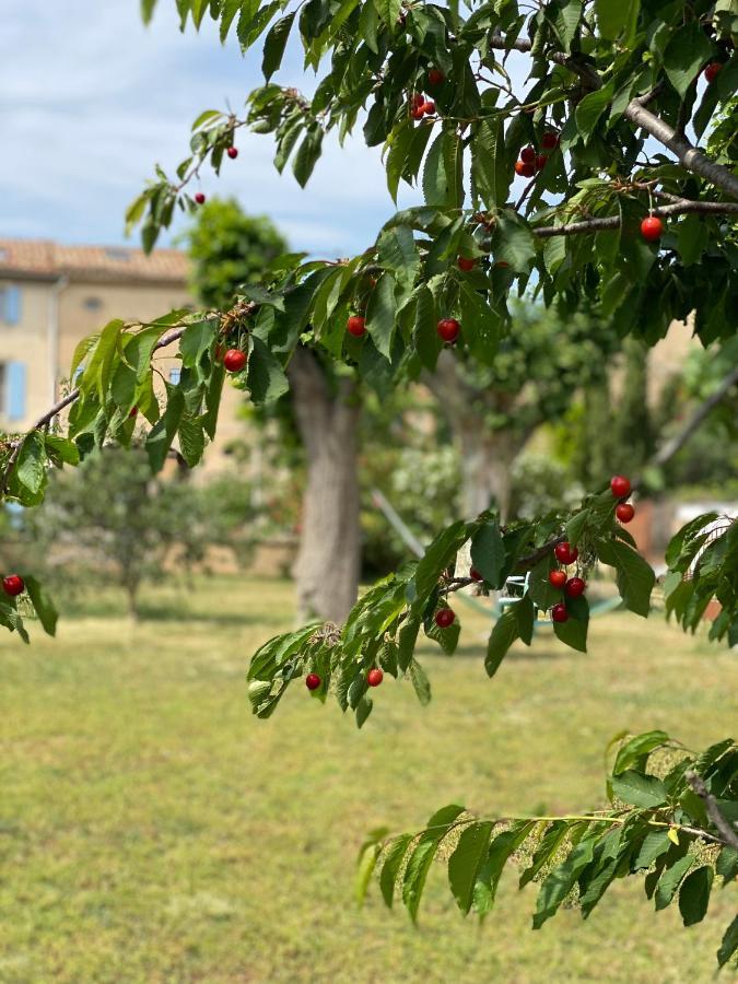 Le Relais D'Affiac Bed & Breakfast Peyriac-Minervois Exterior photo
